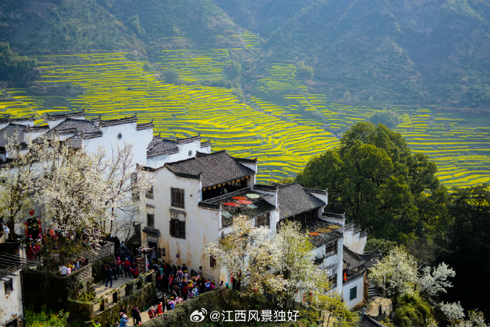 江西，红色沃土谱写绿色发展新篇章