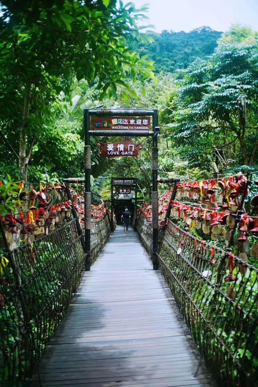 海南，热带天堂的绚丽画卷